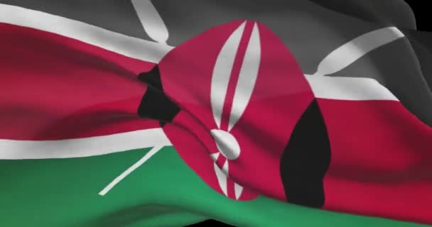 Záběry Keňské Národní Vlajky Keňská Vlajka Vlající Větru — Stock video