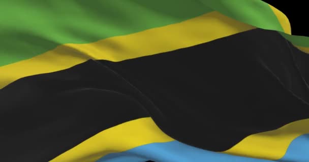 Tanzańska Flaga Narodowa Tanzania Macha Flagą Kraju Wietrze — Wideo stockowe