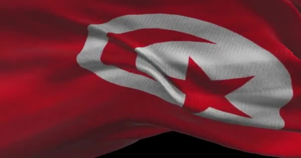 Tunus Ulusal Bayrak Görüntüleri Tunus Rüzgarda Bayrak Sallıyor — Stok video