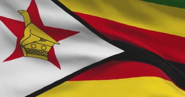 ジンバブエの国旗の映像 ジンバブエ風に国旗を振って — ストック動画