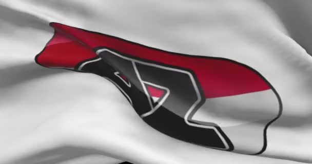 Alkmaar Agitando Bandeira Alkmaar Futebol Clube Fundo Logotipo Equipa Futebol — Vídeo de Stock