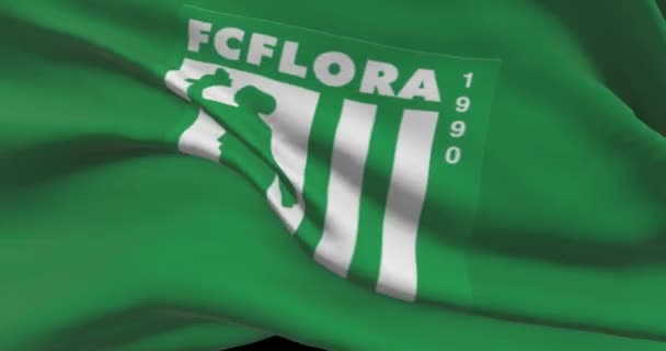 Flora Tallinn Agitando Bandeira Flora Tallinn Clube Futebol Fundo Logotipo — Vídeo de Stock