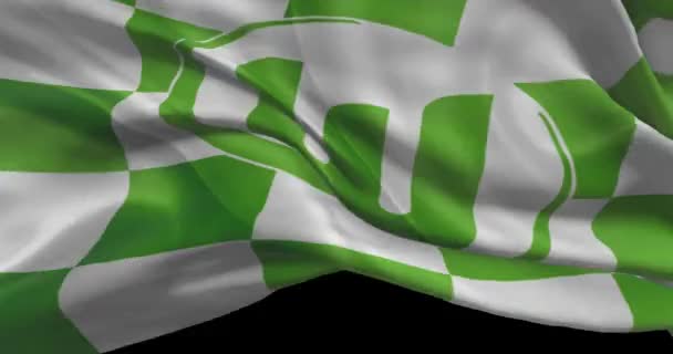 Der Wolfsburg Schwenkt Die Fahne Wolfsburger Fußballklub Hintergrund Logo Der — Stockvideo