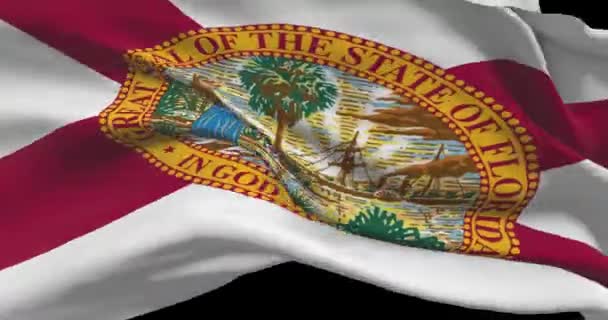 佛罗里达州的州旗 Fl美利坚合众国新闻和政治例证 — 图库视频影像