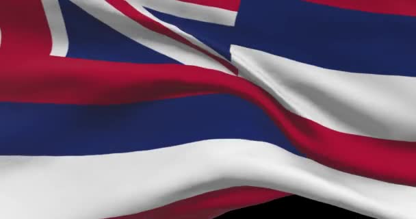 ハワイ州旗 Hiアメリカニュースと政治イラスト — ストック動画