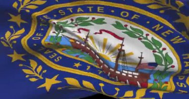New Hampshire eyalet bayrağı. NH Amerika Birleşik Devletleri haber ve politika illüstrasyonu
