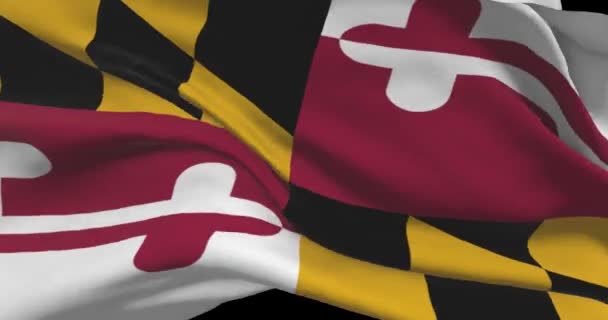 Marylandská Státní Vlajka Spojené Státy Americké News Politics Illustration — Stock video