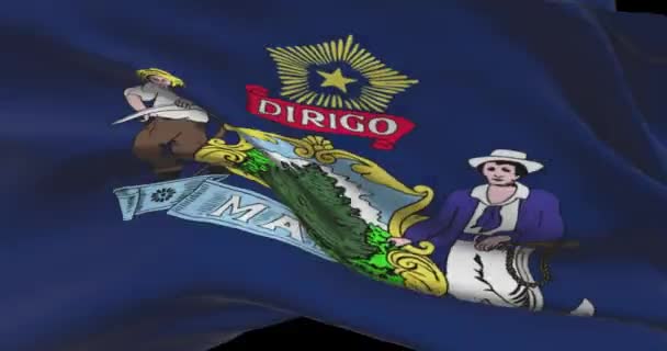 Maine State Flag United States America News Politics Illustration — Stock Video