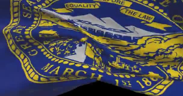 Bandeira Estado Nebraska Estados Unidos América Ilustração Notícias Política — Vídeo de Stock