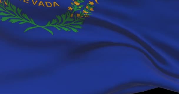 内华达州的国旗 Nv美利坚合众国新闻和政治例证 — 图库视频影像