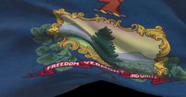 Vermont eyalet bayrağı. Amerika Birleşik Devletleri haber ve politika illüstrasyonu