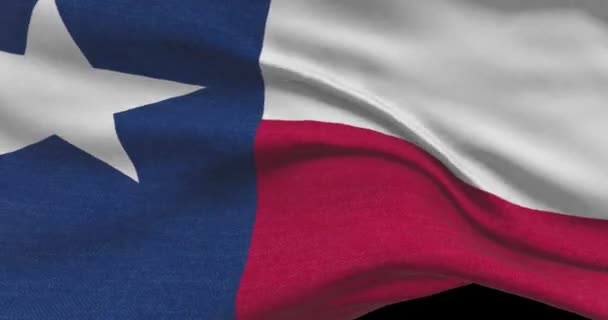 Texas State Flag United States America News Politics Illustration — Stock Video