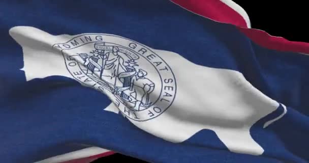 Bendera Negara Bagian Wyoming Ilustrasi Politik Dan Berita Amerika Serikat — Stok Video