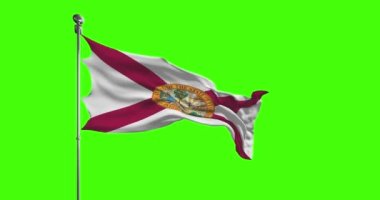 Florida Eyaleti Bayrak Dalgaları 'nın krom anahtar arka planı. Amerika Birleşik Devletleri görüntüleri, ABD bayrak animasyonu