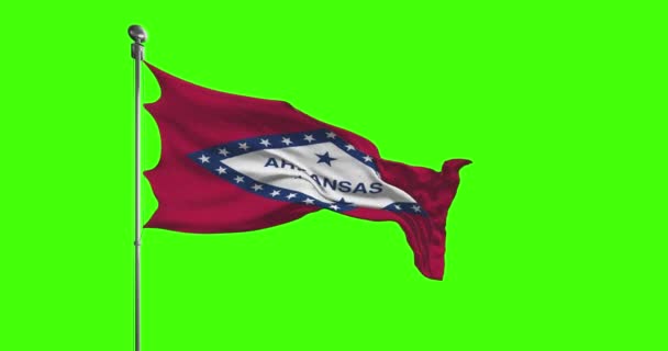 Флаг Штата Арканзас Размахивает Цветовым Фоном Съёмки Фильма Соединённые Штаты — стоковое видео