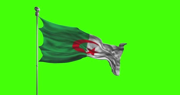 Algeria National Flag Waving Footage Chroma Key — Stock Video