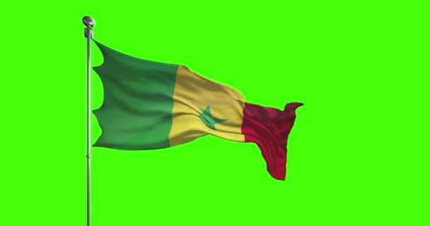 Drapeau National Sénégal Brandissant Des Images Clé Chromatique — Video