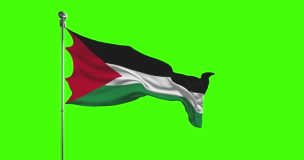 Державний Прапор Палестини Махає Кадрами Ключ Від Хроми — стокове відео