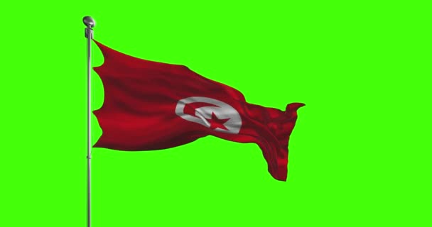 Національний Прапор Тунісу Махає Кадрами Ключ Від Хроми — стокове відео