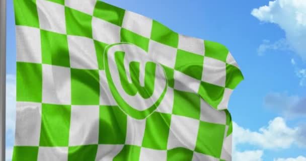 New York Usa September 2021 Wolfsburg Fotbollslag Viftar Med Flagga — Stockvideo