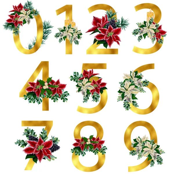 Watercolor Poinsettia Gold Numbers Perfect Use Web Print — Stock Photo, Image