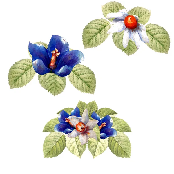 一套水彩缤纷的春花插在盆栽图上 非常适合在网上或在印刷品上使用 — 图库照片
