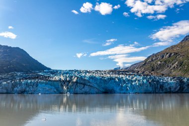 Buzul Körfezi Ulusal Parkı, Alaska, ABD