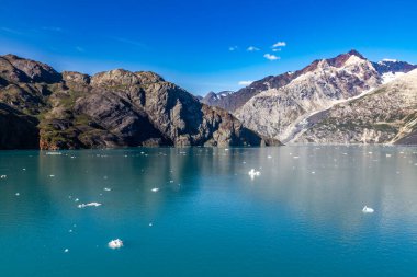 Buzul Körfezi Ulusal Parkı, Alaska, ABD