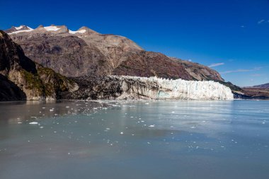 Buzul Körfezi Ulusal Parkı, Alaska, ABD