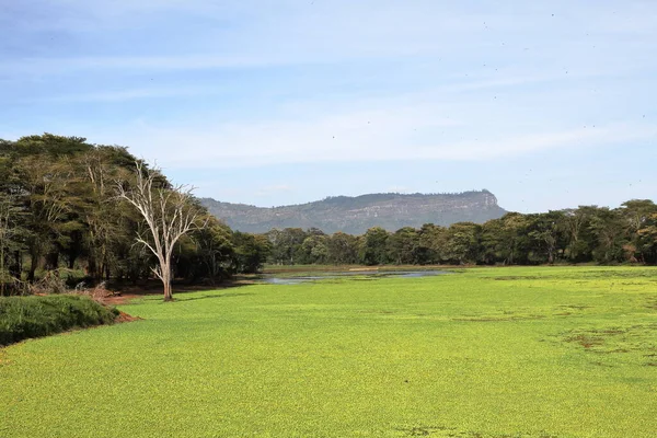 Taita Hills Tsavo Kenya — Foto Stock