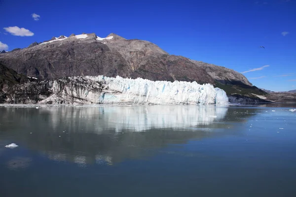 Glacier Bay National Park Alaska —  Fotos de Stock