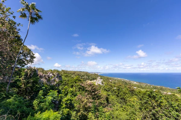 Barbados Bölgesi Doğu Kıyısı Manzarası — Stok fotoğraf