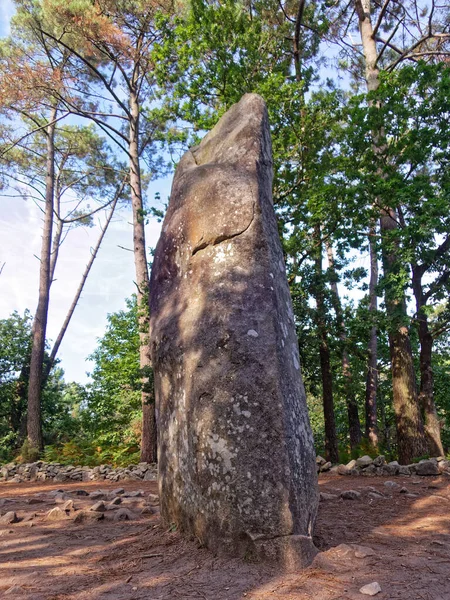 Manio Giant Pedras Carnac Bretanha França — Fotografia de Stock