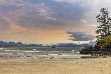 Tofino Sahili - Vancouver Adası, British Columbia, Kanada