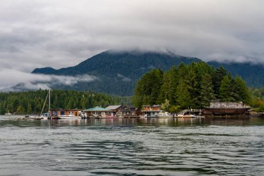 Çilek Adası, Tofino Limanı, Vancouver Adası, British Columbia, Kanada