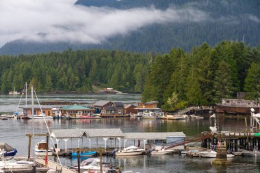 Çilek Adası, Tofino Limanı, Vancouver Adası, British Columbia, Kanada