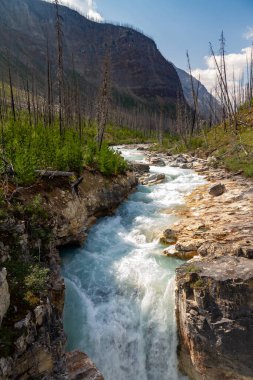 Mermer Kanyon, Banff Ulusal Parkı, Kanada
