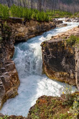 Mermer Kanyon, Banff Ulusal Parkı, Kanada