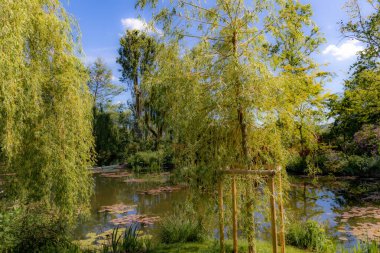 Claude Monet bahçesinde su zambakları Giverny, Eure, Normandiya, Fransa