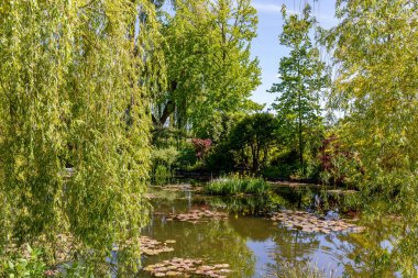 Claude Monet bahçesinde su zambakları Giverny, Eure, Normandiya, Fransa