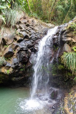 Grenada, Batı Hint Adaları - Annandale Şelalesi