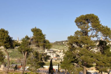 Zeytin Dağı - Kudüs - İsrail