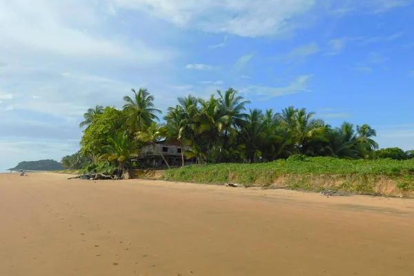 Пляж Монжоли Ремир Монжоли Французская Гвиана — стоковое фото