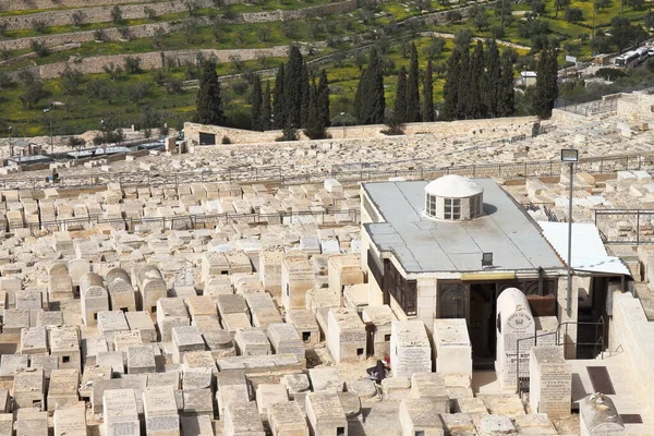 Zeytin Dağı Yahudi Mezarlığı Kudüs Srail — Stok fotoğraf