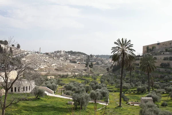 Monte Los Olivos Jerusalén Israel — Foto de Stock