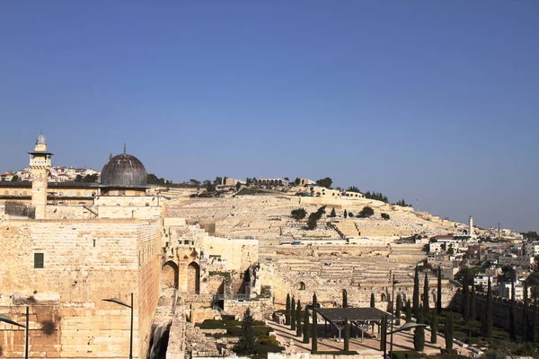 Monte Los Olivos Jerusalén Israel —  Fotos de Stock