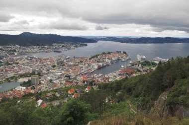Bergen şehir manzarası - Norveç