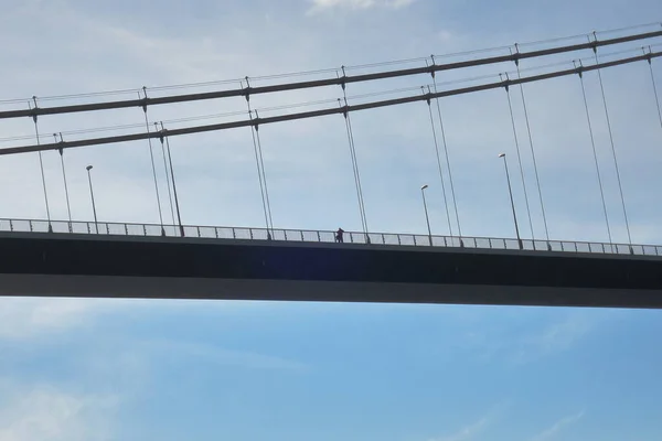Homme Sur Pont Norvège — Photo