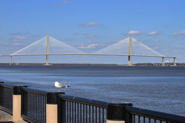 Arthur Ravenel Jr. - Charleston, SC - ABD