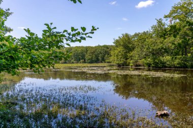 Langeais yakınlarındaki Loire Vadisi kırsalında romantik bir gölet.